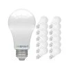 Viribright 9-Watt Soft White LED Specialty Bulb, 12/Pack (640338)