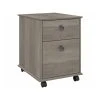 Bush Furniture Homestead 2-Drawer Mobile File Cabinet, Letter/Legal Size, 22.09"H X 16.46"W X 20"D, Driftwood Gray (HOF117DG-03)