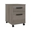 Kathy Ireland® Home By Bush Furniture City Park 2-Drawer Mobile File Cabinet, Letter/Legal, Driftwood Gray (CPF116DG-03)