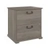 Bush Furniture Homestead 2-Drawer Lateral File Cabinet, Letter/Legal Size, Lockable, 30"H, Driftwood Gray (HOF129DG-Z)