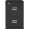 FireKing® 2-Drawer Vertical File Cabinet, Letter, Black, 32"D (2P1831CBLI)