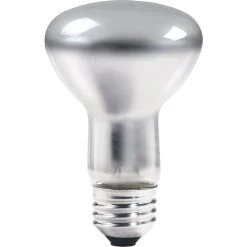 Philips® 45W Incandescent R20 Light Bulb, Medium Screw Base, 12/Pack (203224)