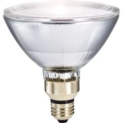 Philips Halogen PAR38 Lamp, 25° Flood, 53 Watts, 12PK
