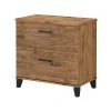 Bush Furniture Somerset 2-Drawer Lateral File Cabinet, Letter/Legal, Fresh Walnut, 30" (WC81380)