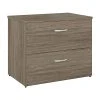 Bush Business Furniture Studio C 2 Drawer Lateral File Cabinet, Modern Hickory (SCF136MHSU)