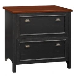 Bush Furniture Fairview 2 Drawer Lateral File Cabinet, Antique Black And Hansen Cherry (WC53984T)