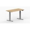 LifeFlo Ergonomics Height Adjustable Desk, 48" W X 24" D X 1 1/8" Thick, Maple (LFO-4824-E2-MA)