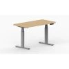 LifeFlo Ergonomics Height Adjustable Desk, 60"W X 30"D X 1 1/8" Thick, Maple (LFO-6030-E2-MA)