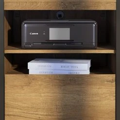 Bush Furniture Latitude Printer Stand File Cabinet, Rustic Brown Embossed (LAF124RB-03) -Staples Department Store sp47156580 sc7